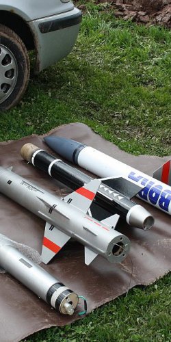 2013 Svojek Mirek Topinka